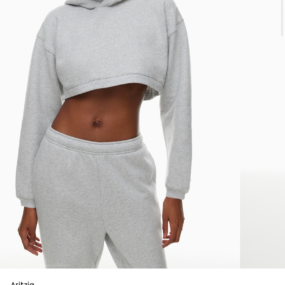 Aritzia Light Gray Cropped hoodie